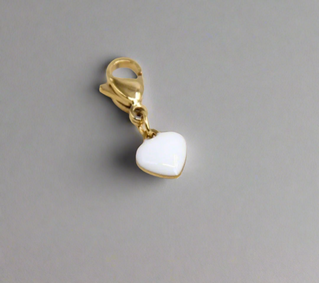Charms acier inoxydable