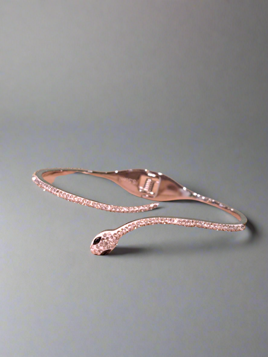 Bracelet serpent đ