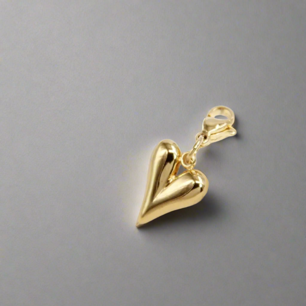 Charms acier inoxydable