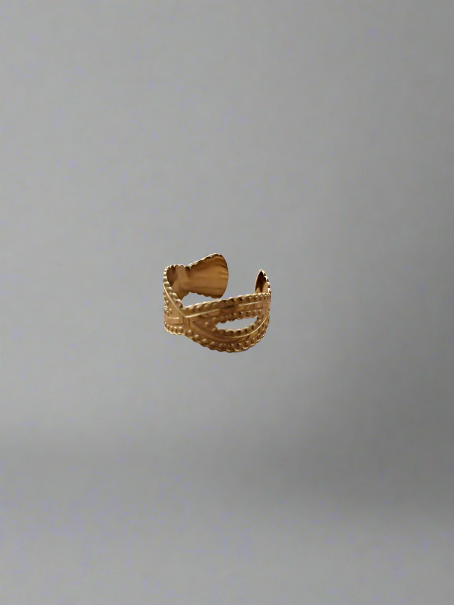 Bague d'oreille