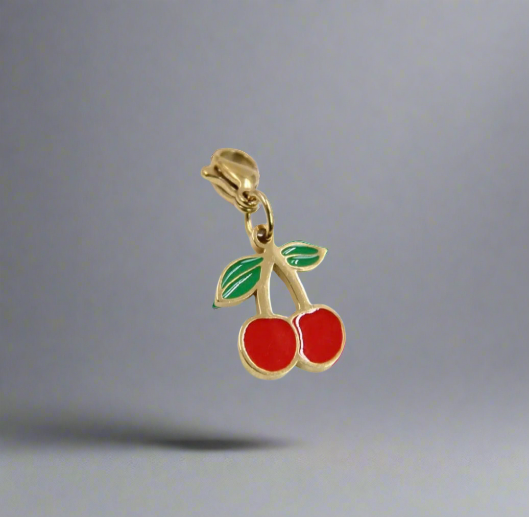 Charms acier inoxydable