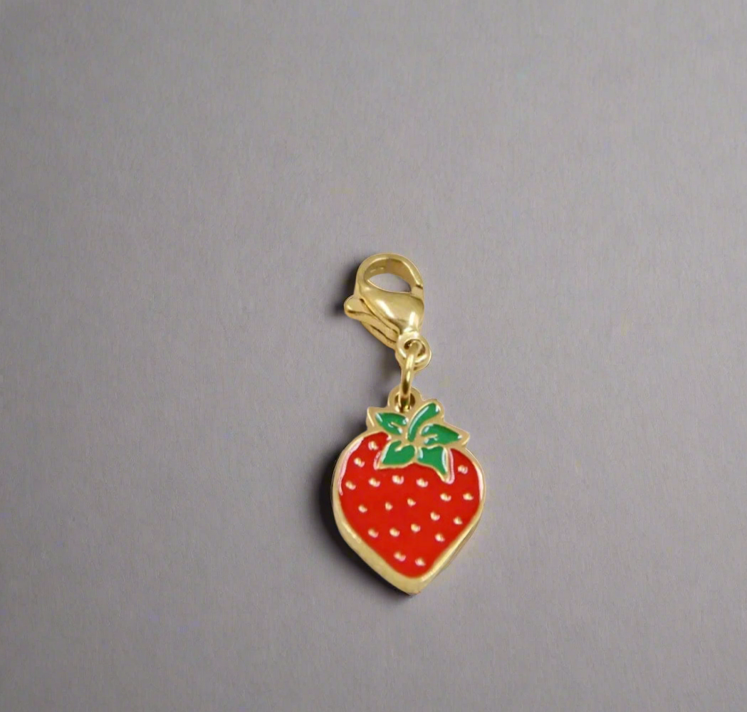 Charms acier inoxydable