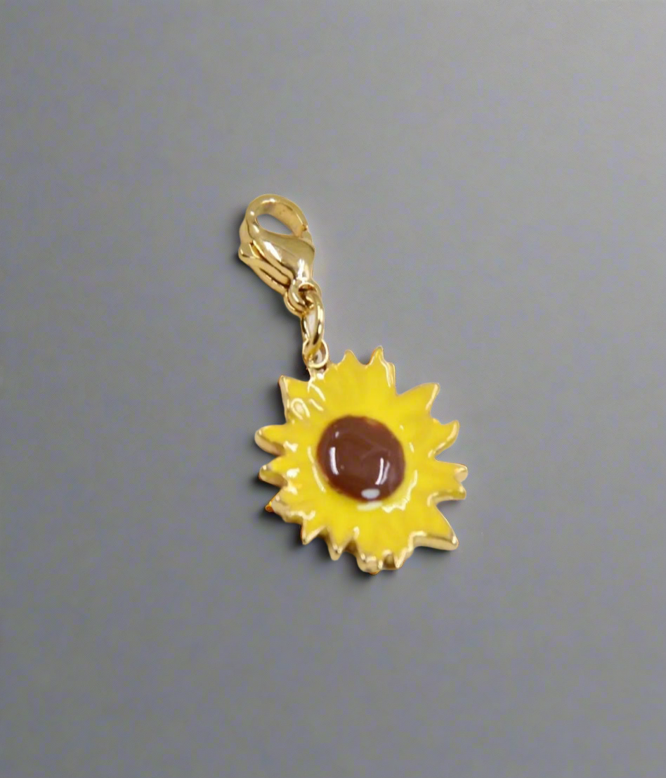 Charms acier inoxydable