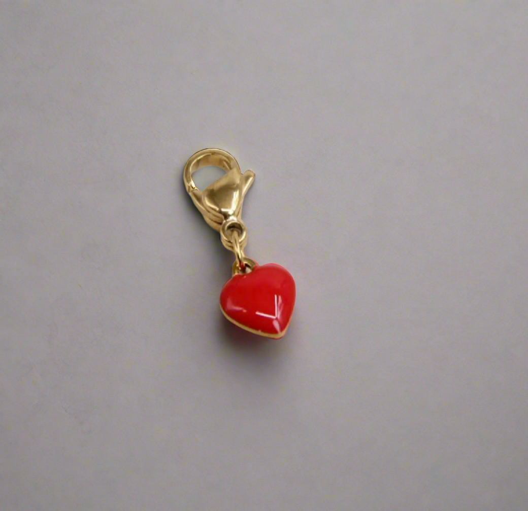 Charms acier inoxydable