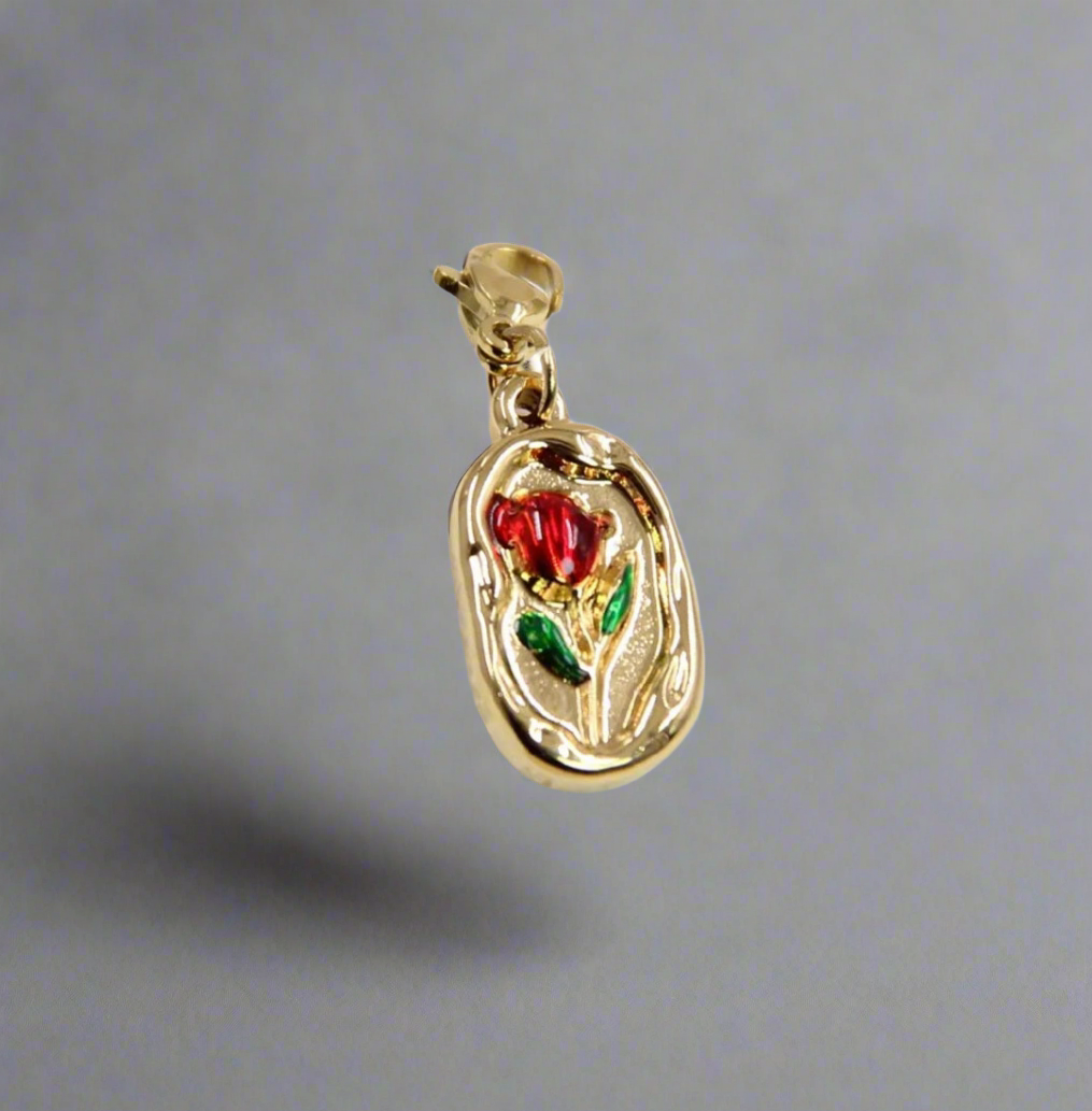 Charms acier inoxydable