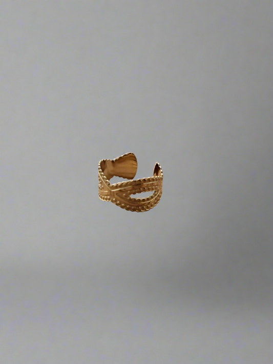 Bague d'oreille