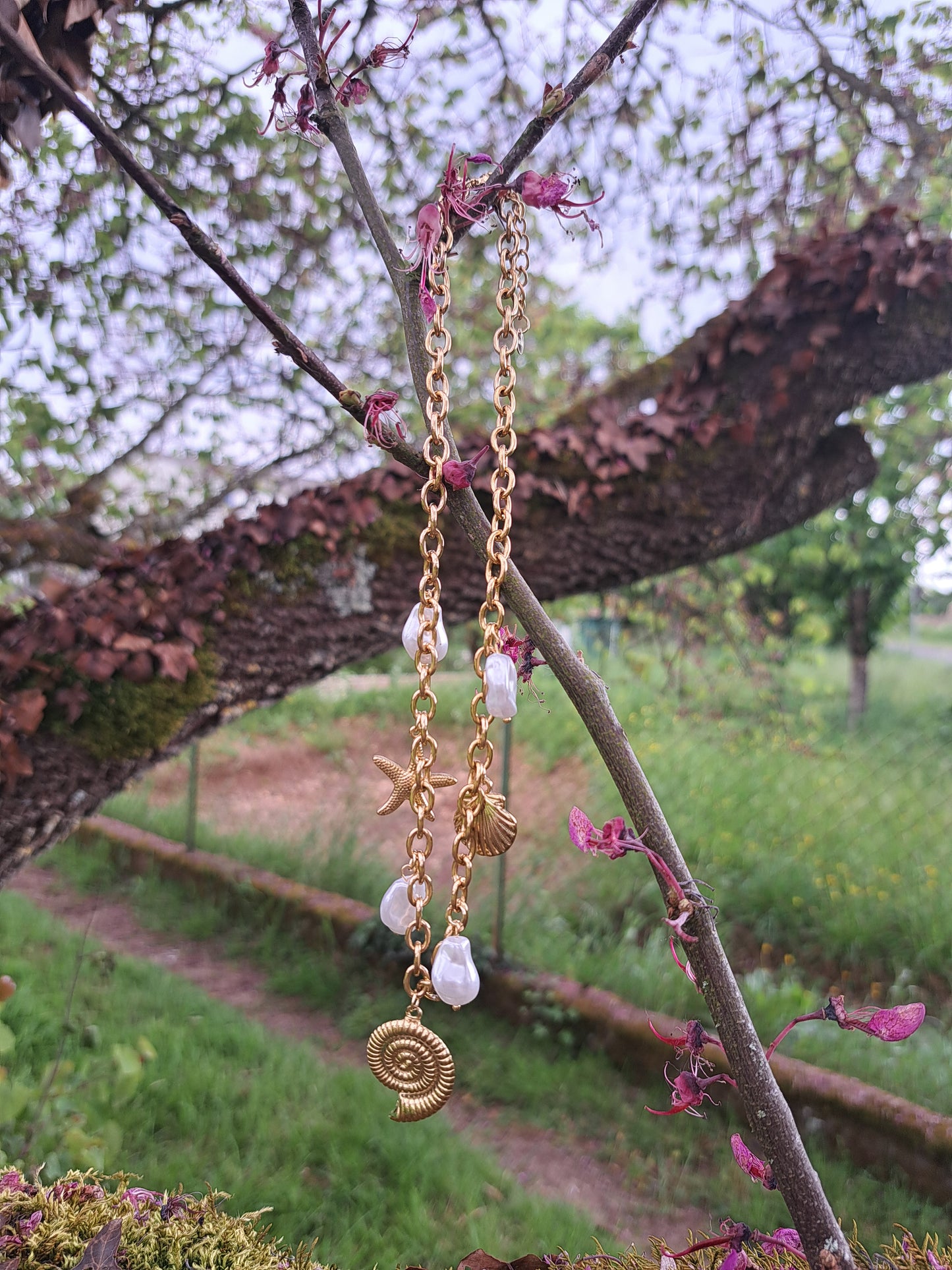 Collier coquillage 🐚